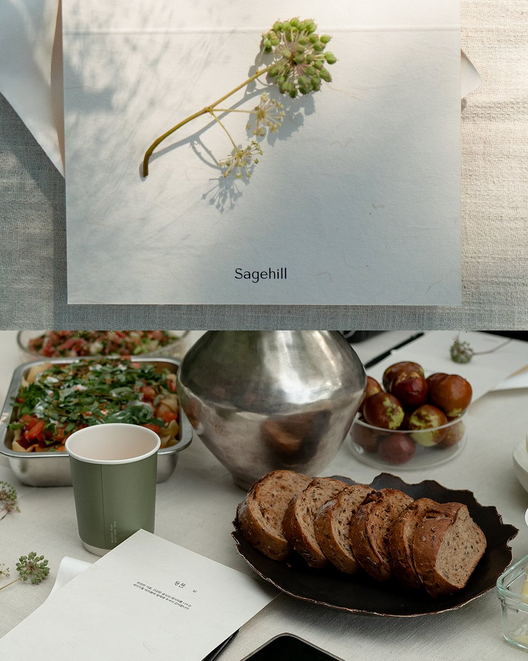 Sagehill Table Vol.1 — 2